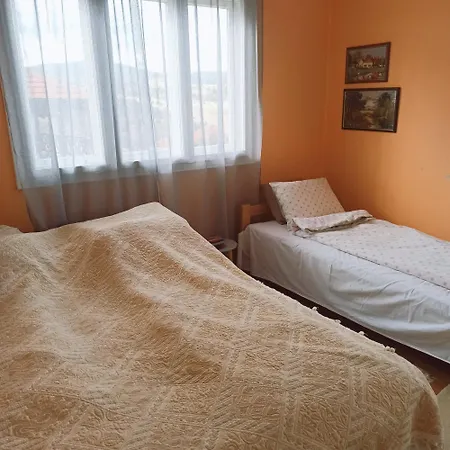 Apartment Kuca Despot *