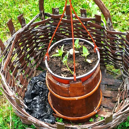 Kuca Despot Daire Kremna