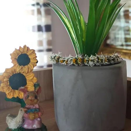 Kuca Despot Daire Kremna