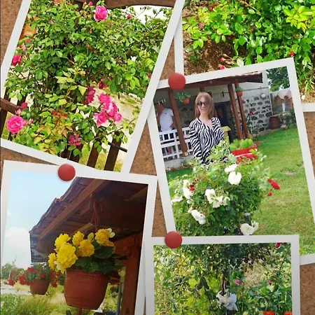 Kuca Despot Daire Kremna